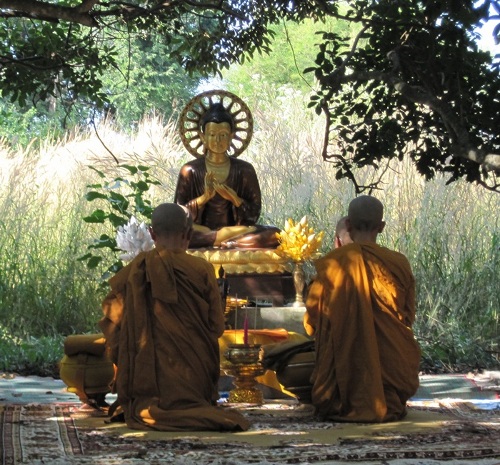 Buddhist monks and meditation